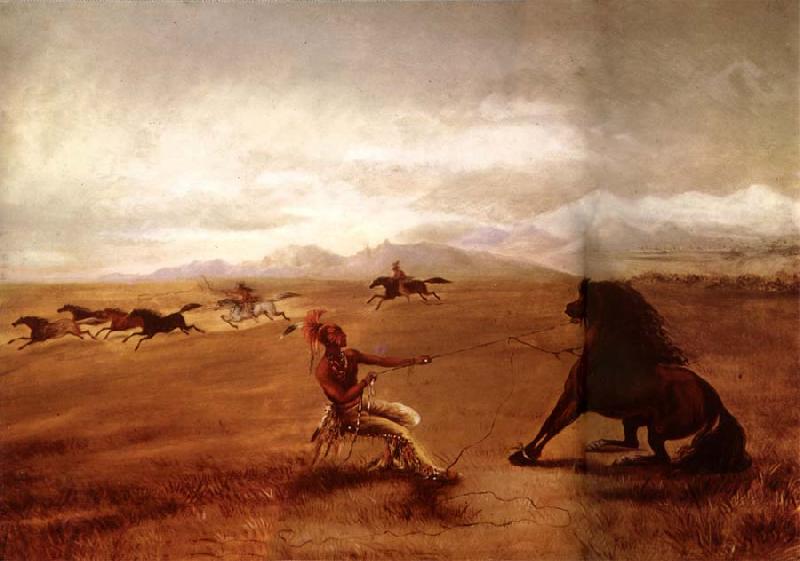 George Catlin Catching wild horses China oil painting art
